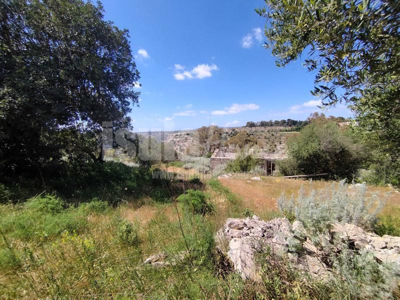 Terreno panoramico con progetto 2
